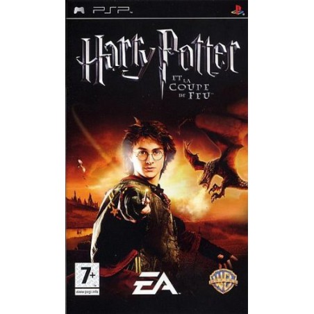 Harry Potter et la Coupe de Feu - Platinum